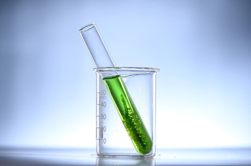 Biofuels