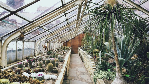 small greenhouse