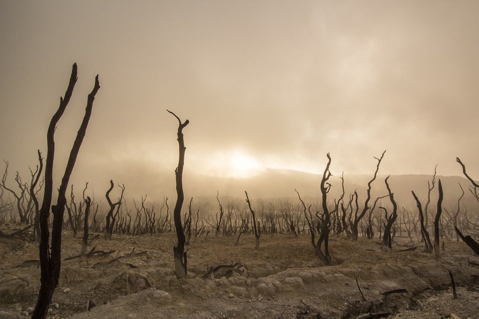 Global warming